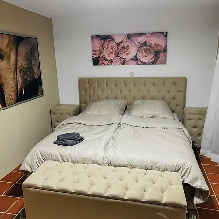 Rheinoase Mit Garten Fuer Familien & Gruppen Apartman *